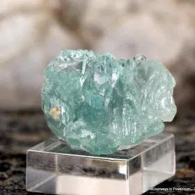 Aquamarine Crystal Specimen A    Collector Quality