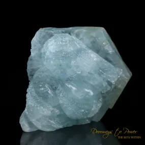 Aquamarine Dragon Crystal Carving 'Collectors Quality'