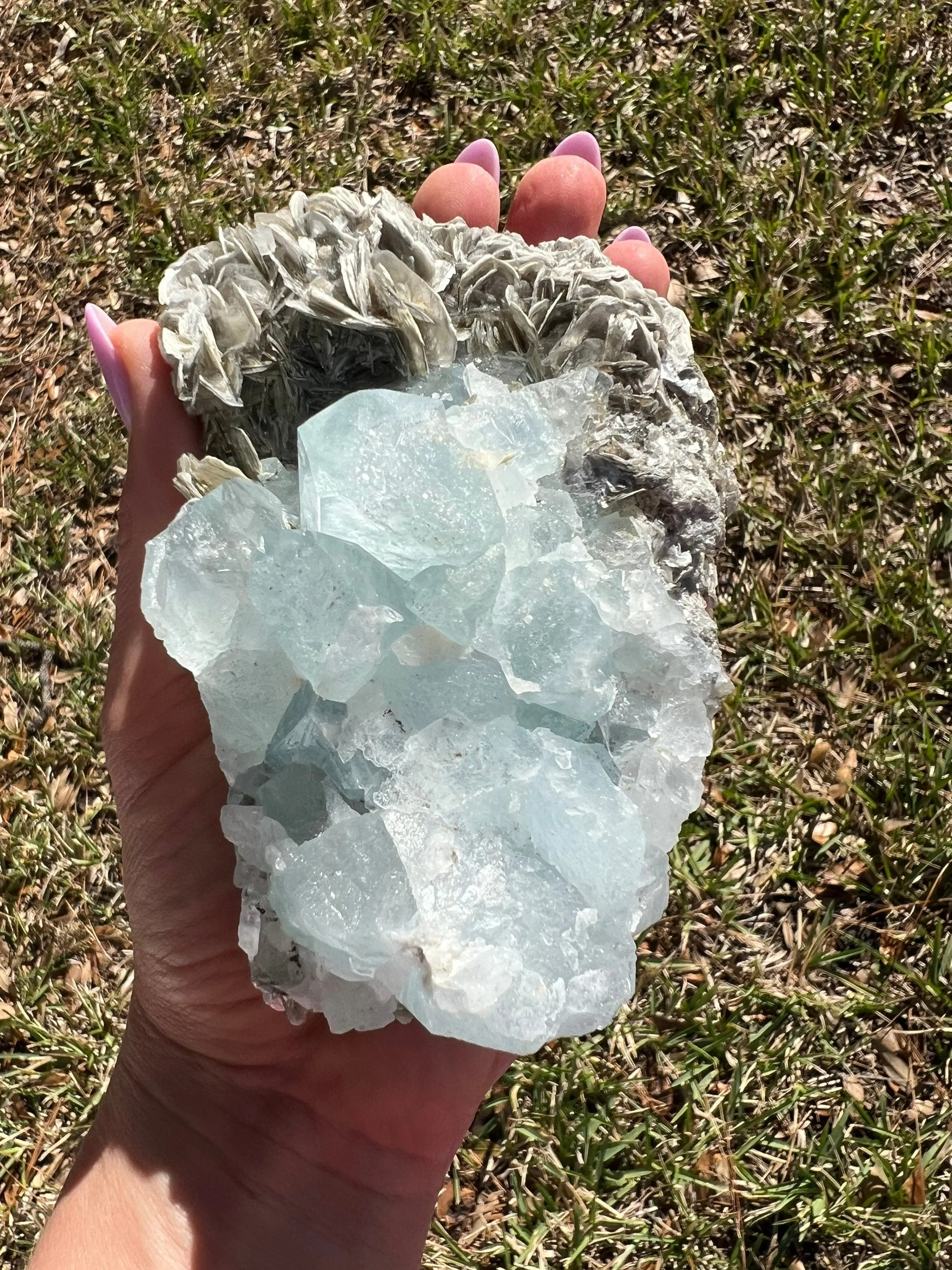 Aquamarine on muscovite 1pound 6oz