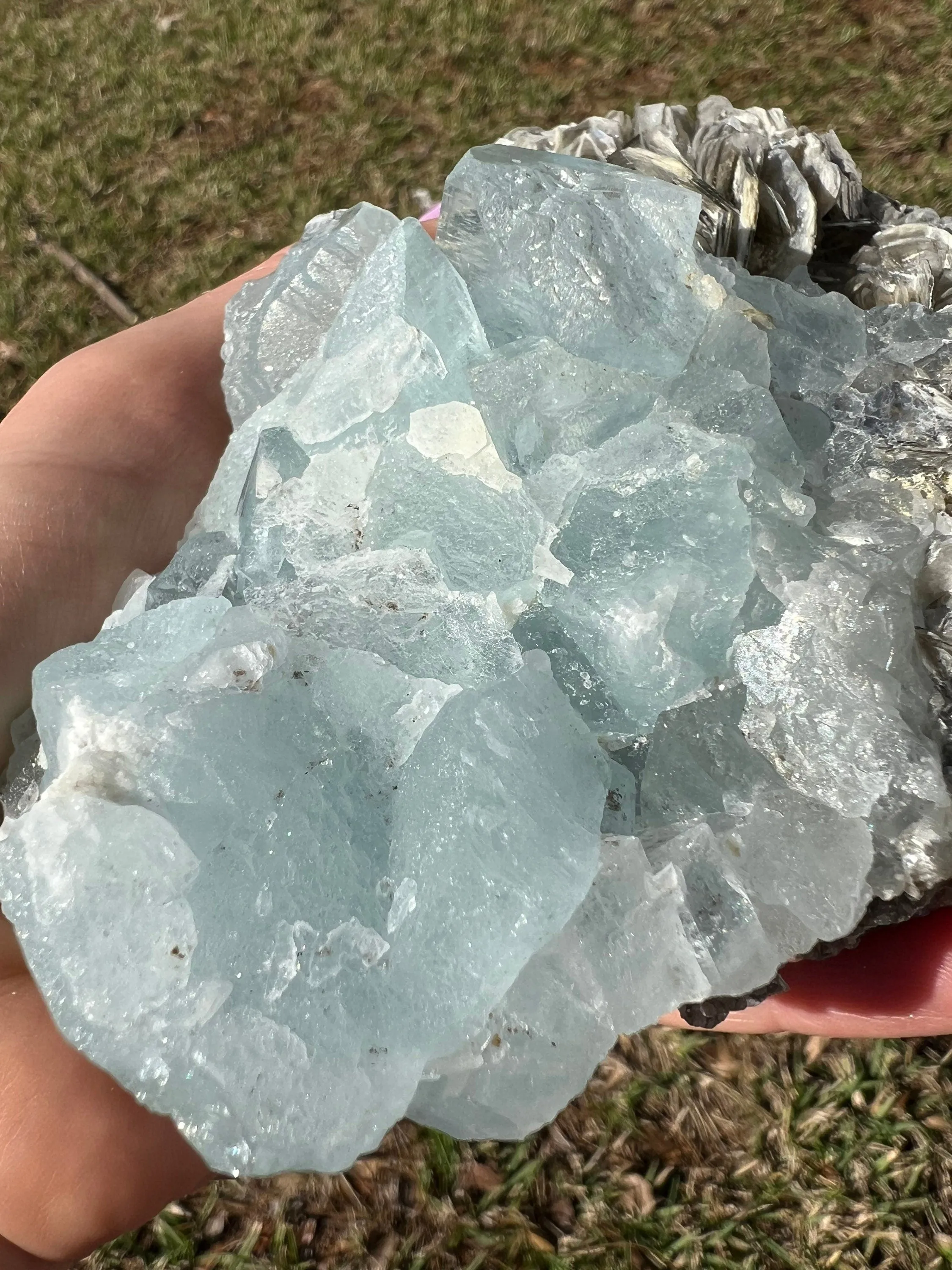 Aquamarine on muscovite 1pound 6oz