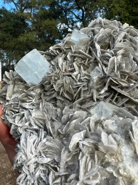 Aquamarine on muscovite matrix cluster 5 pounds