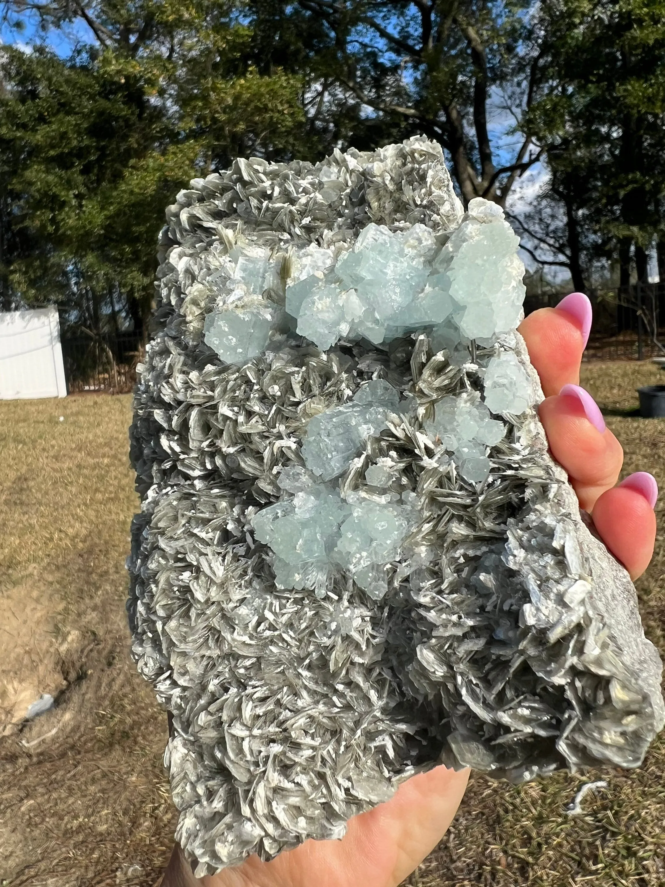 Aquamarine on muscovite matrix cluster2 pounds 13oz