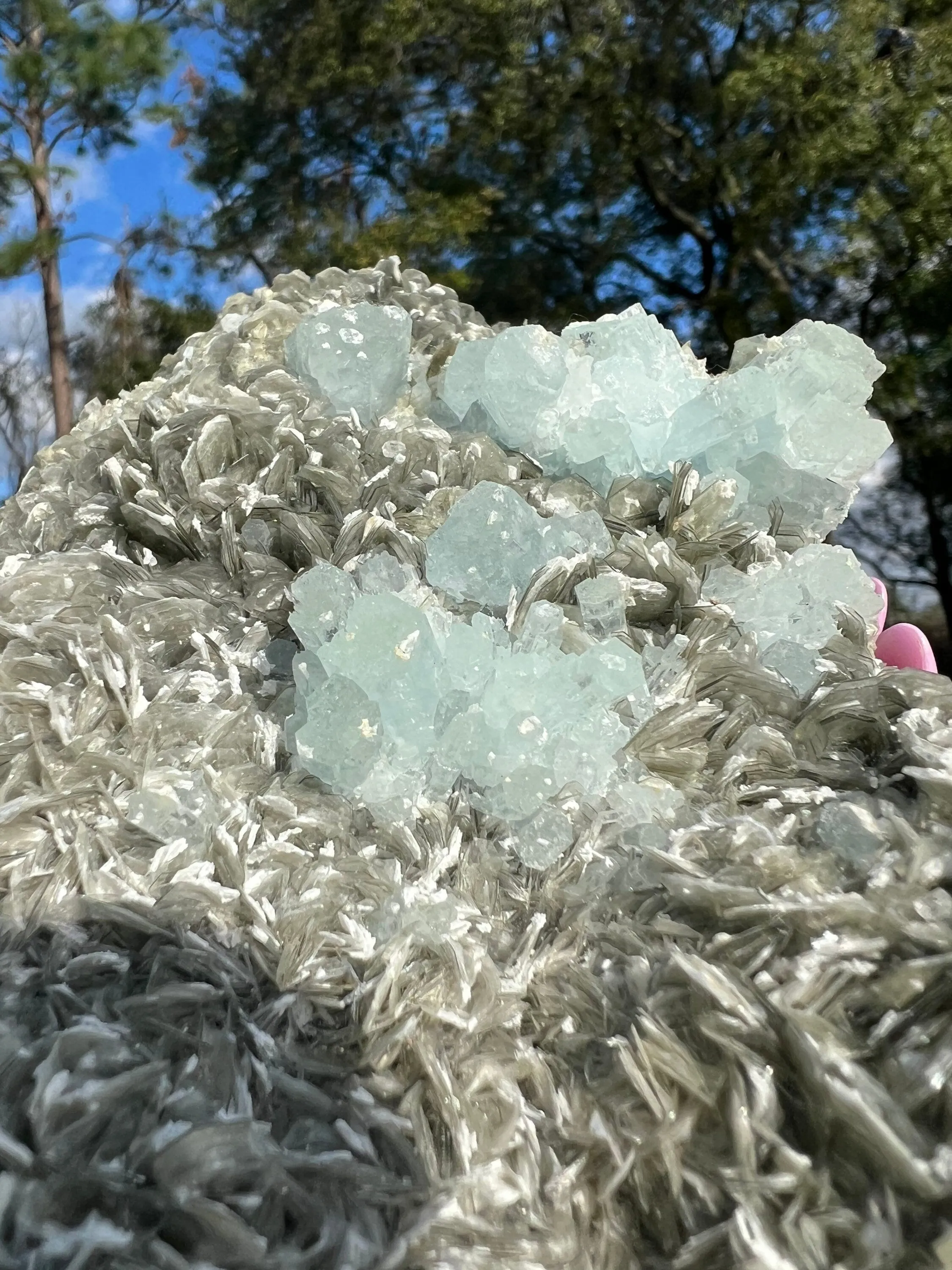 Aquamarine on muscovite matrix cluster2 pounds 13oz