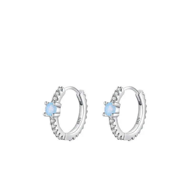 Elegant S925 Pure Silver Micro Inlaid Zircon Earrings with Niche Design