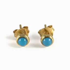 Sleeping Beauty Turquoise Stud Earrings